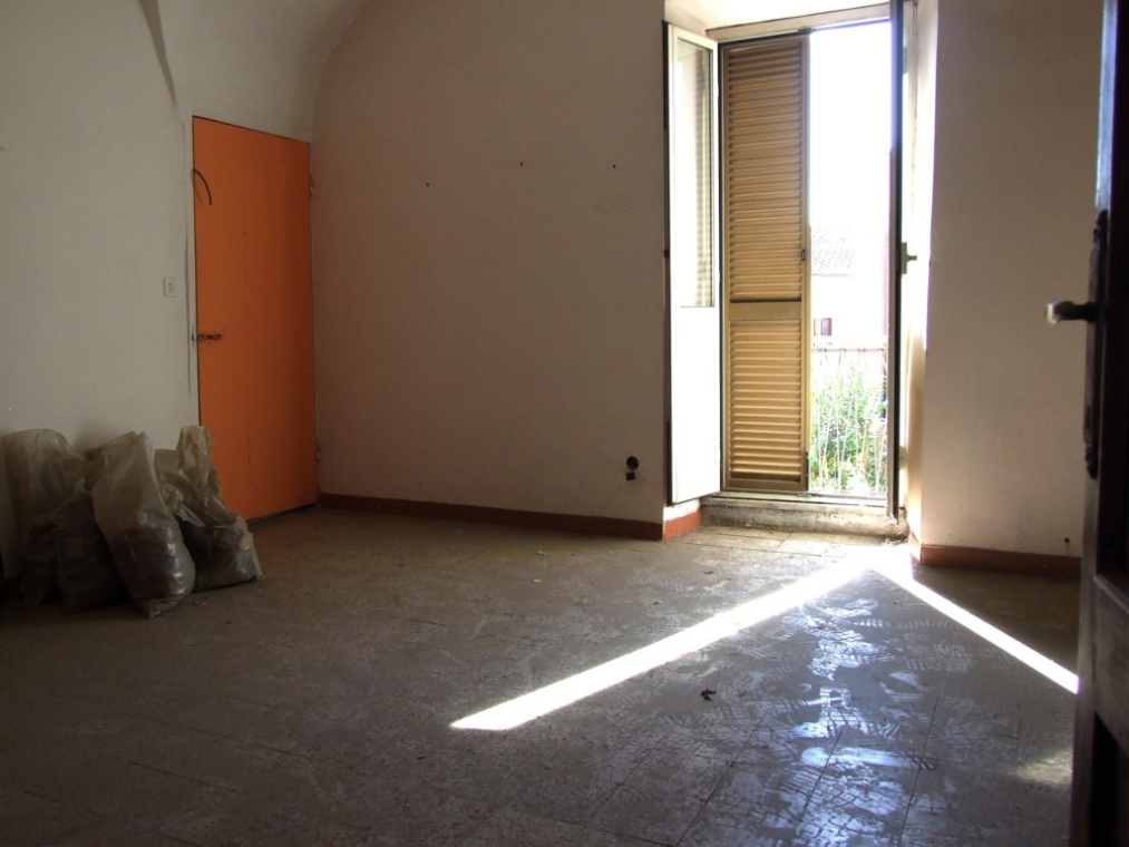 DSCF5161 (FILEminimizer).JPG